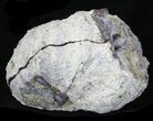 Crystal Filled Dugway Geode #33172-2